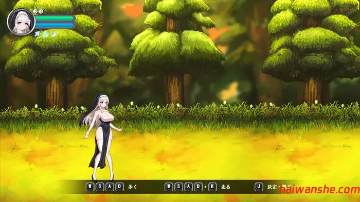 月下的誓言:苍白の代行者 v1.02 DL原版游戏 横版动作ACT游戏 800M