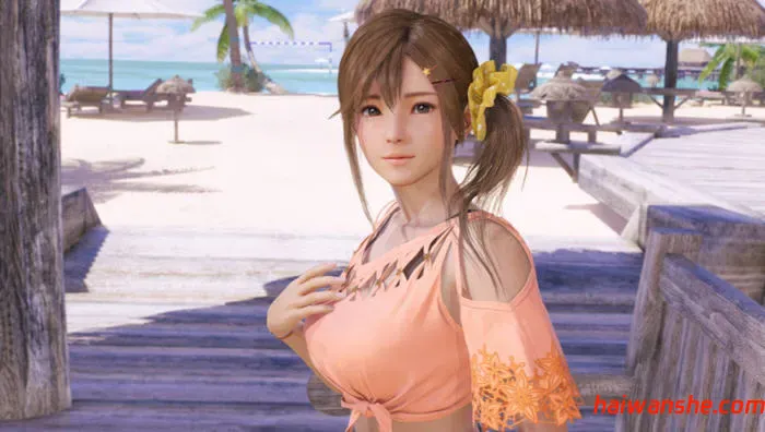 死或生:沙滩排球维纳斯假期 官方中文版 沉浸式恋爱冒险游戏 14G