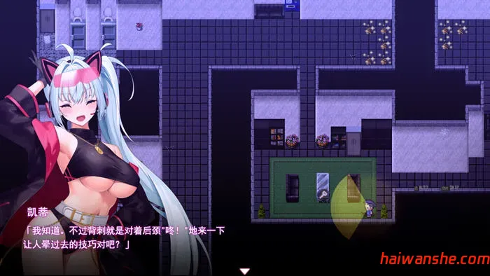 盗贼猫的乍精记录 v1.0.1 AI汉化版 潜入类RPG游戏 6G