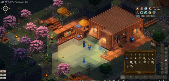 伊琳(Elin) v24.42 官方中文版 Roguelike生存冒险RPG游戏 1.2G